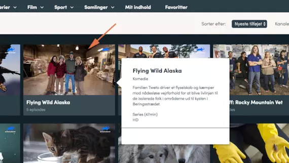 Ugearkiv på computer 5