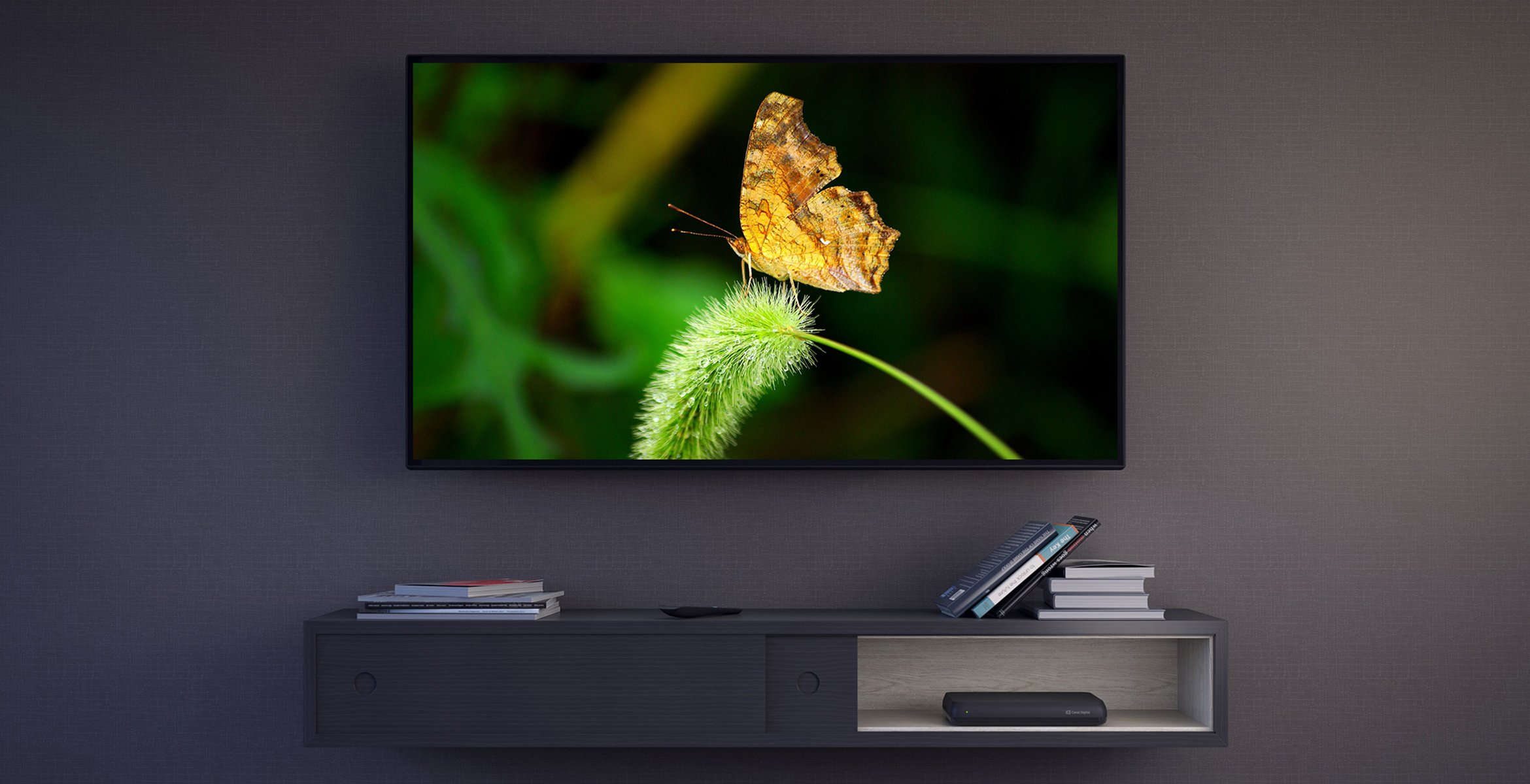OnePlace - 4K HDR UHD